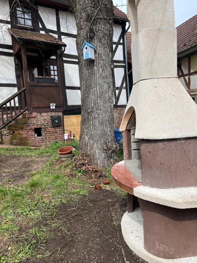 Fachwerk In Bergfreiheit Leilighet Bad Wildungen Eksteriør bilde